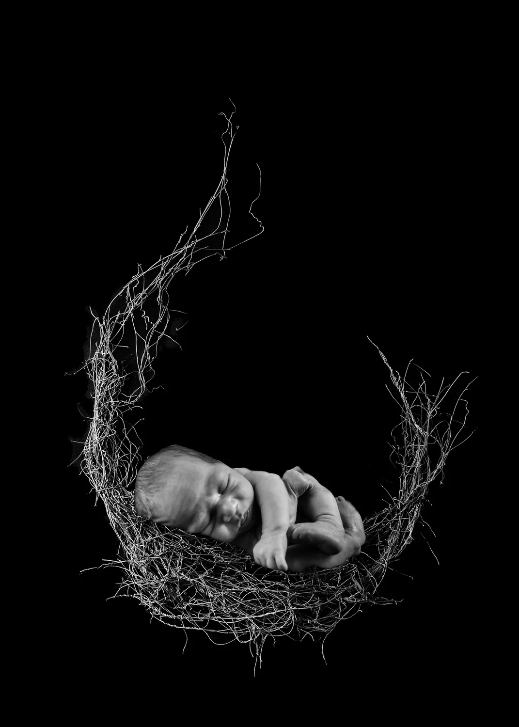 Black and white newborn portrait